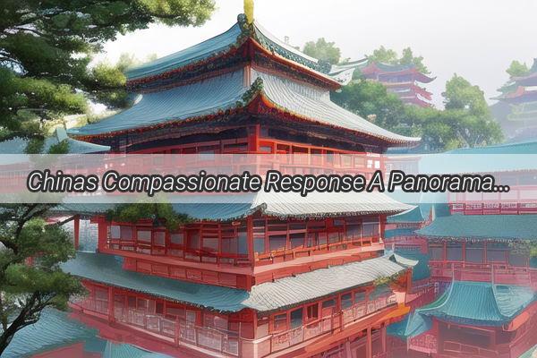 Chinas Compassionate Response A Panorama of Support During the Pandemic